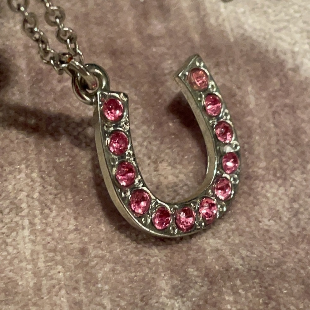 Pink Bling Lucky horse shoe Necklace
